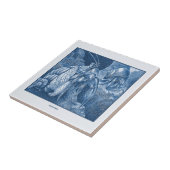 kreeftskkrabben met blauw nicht tegeltje (Zijkant)