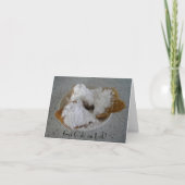 Kreeg Cafe au Lait briefkaart (Voorkant)