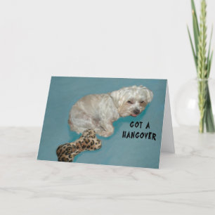 Kreeg een kater kaart Witte Hond