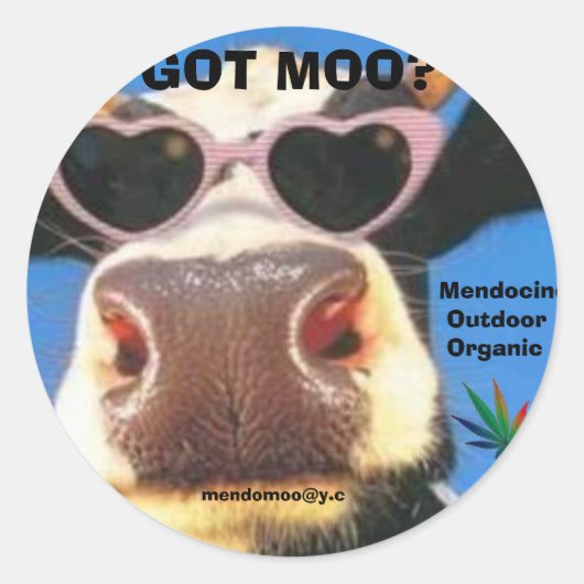 KREEG MOO POT STICKER (Voorkant)