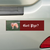Kreeg Pyr Bumpersticker (Op auto)