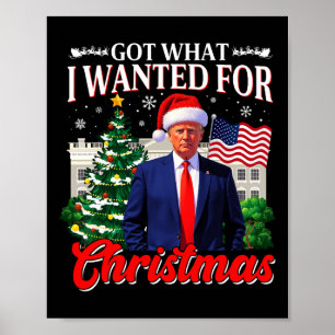 Kreeg wat ik wilde voor Kerstmis Donald Trump 47th Poster