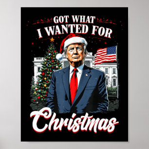 Kreeg wat ik wilde voor Kerstmis Trump 2024 4 Poster