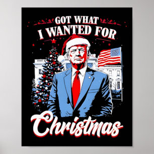 Kreeg wat ik wilde voor Kerstmis Trump 2025 Poster