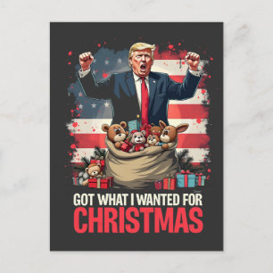 Kreeg wat ik wilde voor Kerstmis Trump Kerstman Briefkaart