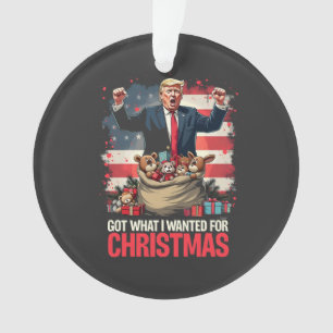 Kreeg wat ik wilde voor Kerstmis Trump Kerstman Ornament