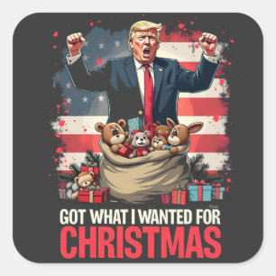 Kreeg wat ik wilde voor Kerstmis Trump Kerstman Vierkante Sticker