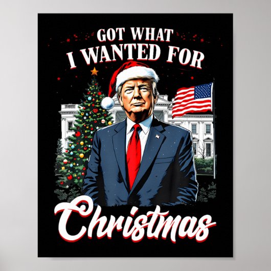 Kreeg wat ik wilde voor Kerstmis Trump Poster (Voorkant)