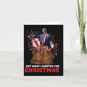 Kreeg wat ik wilde voor Kerstmis - Trump won 2024 Kaart