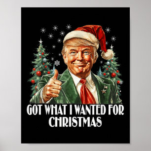 Kreeg wat ik wilde voor Kerstmis - Trump Xmas Poster