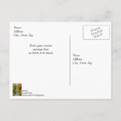 Kreek Herfstreflecties Verticaal Dank Je Briefkaart (Achterkant)