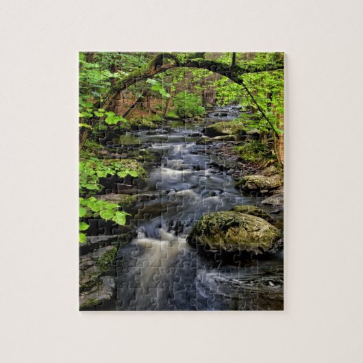 Kreek stroomt door bos legpuzzel (Verticaal)
