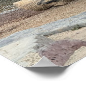 Kreek Waterscape Poster (Hoek)