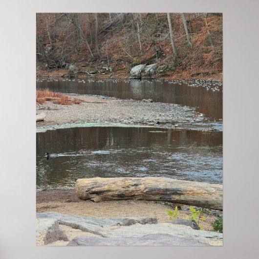 Kreek Waterscape Poster (Voorkant)