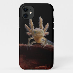 Kreet iPhone 11 Hoesje