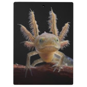 Kreet Klembord (Achterkant)