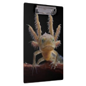 Kreet Klembord (Rechts)