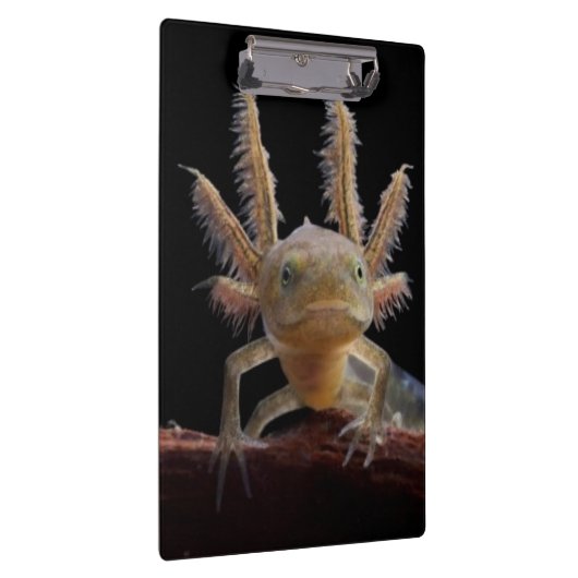 Kreet Klembord (Rechts)