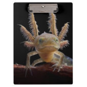 Kreet Klembord (Voorkant)