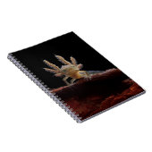 Kreet Notitieboek (Rechterzijde)