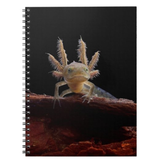 Kreet Notitieboek (Voorkant)