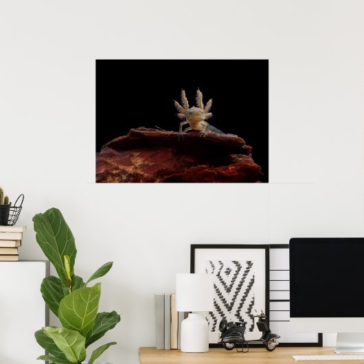 Kreet Poster (Thuiskantoor)