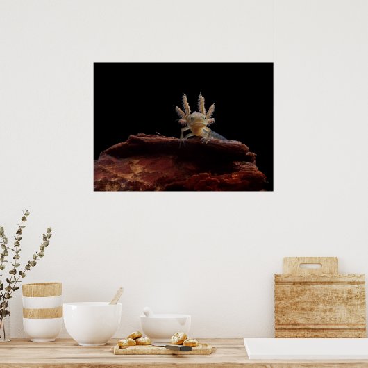 Kreet Poster (Keuken)