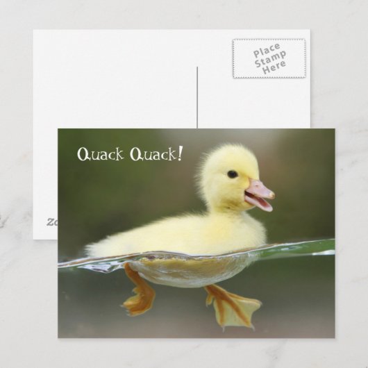 Kreet - Quack Quack! Briefkaart (Voorkant / Achterkant)
