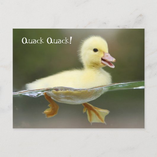 Kreet - Quack Quack! Briefkaart (Voorkant)