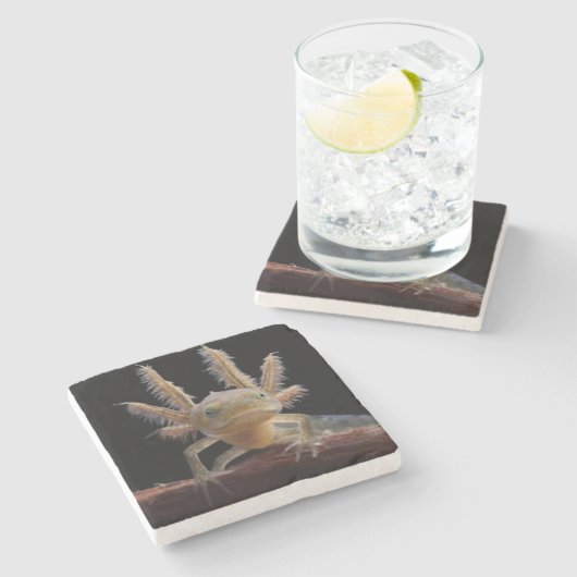 Kreet Stenen Onderzetter (Zijkant)