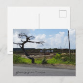 Kreet uit Curaçao (aanpasbaar) Briefkaart (Voorkant / Achterkant)