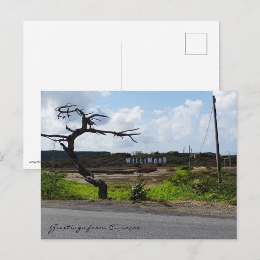 Kreet uit Curaçao (aanpasbaar) Briefkaart (Voorkant / Achterkant)