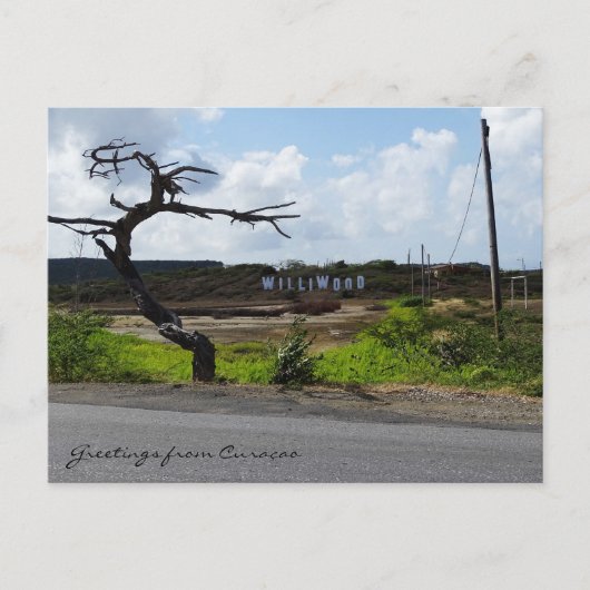 Kreet uit Curaçao (aanpasbaar) Briefkaart (Voorkant)