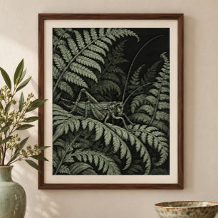 Krekengeluid in de varens kunstprint poster