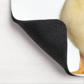 Krelen (1 week oud) muismat (Hoek)