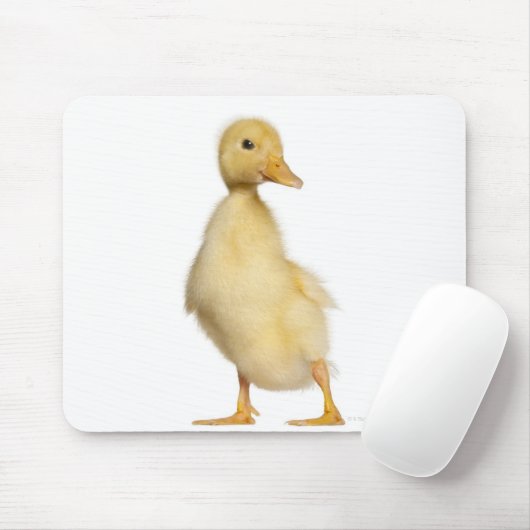 Krelen (1 week oud) muismat (Met muis)