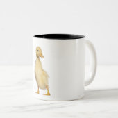 Krelen (1 week oud) tweekleurige koffiemok (Voorkant rechts)