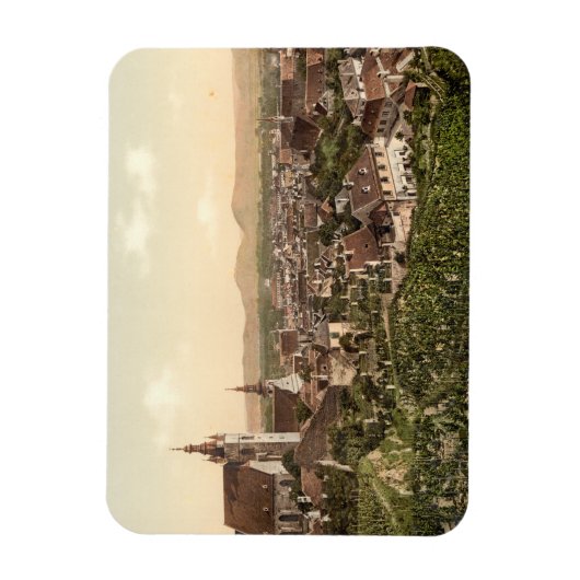 Krems in Oostenrijk Magneet (Verticaal)