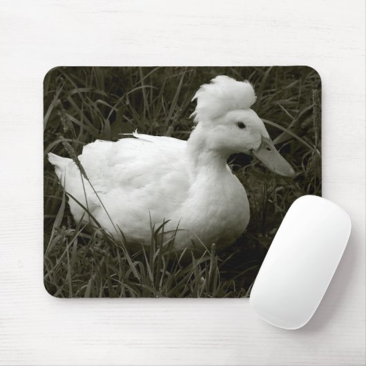 Krestie in zwart-wit muismat (Met muis)