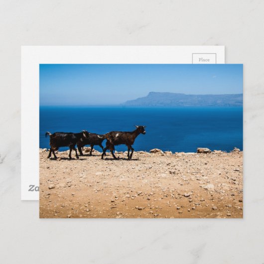 Kreta 8 briefkaart (Voorkant / Achterkant)