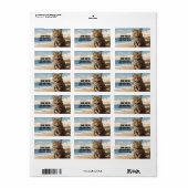 Kretenzische wilde kat op het strand etiket (Full Sheet)