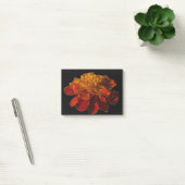 Kreukbloem met waterdruppels post-it® notes (Kantoor)