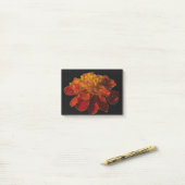 Kreukbloem met waterdruppels post-it® notes (Op bureau)