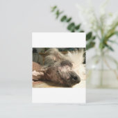 kreuken briefkaart (Staand voorkant)