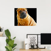 Kreuken, de Chinese Shar Pei Puppy Dog Poster (Thuiskantoor)