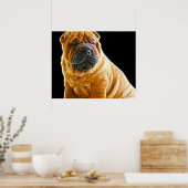 Kreuken, de Chinese Shar Pei Puppy Dog Poster (Keuken)