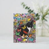 Kreuken in Butterflies - Tux Kitty Cat Briefkaart (Staand voorkant)