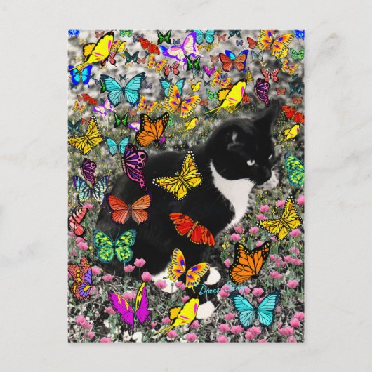 Kreuken in Butterflies - Tux Kitty Cat Briefkaart (Voorkant)