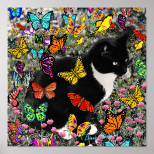 Kreuken op vlinders - Tuxedo-Kat Poster