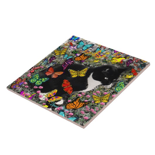 Kreuken op vlinders - Tuxedo-Kat Tegeltje (Zijkant)